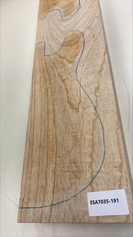 Body Sumpfesche, 2-tlg. grainmatched, Einzelstück #191